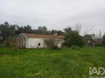 Acheter Maison Santiago-do-cacem r�gion SETUBAL