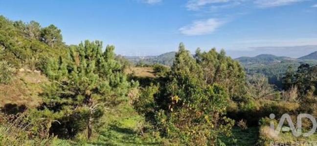 Acheter Terrain 5857 m2 Mafra