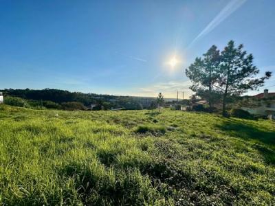 Annonce Vente Terrain Mafra