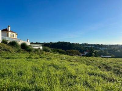 Acheter Terrain 1368 m2 Mafra