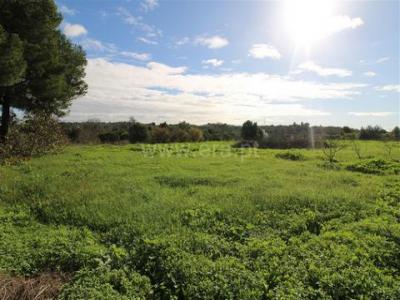 Acheter Maison Faro r�gion FARO