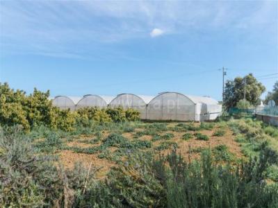 Acheter Maison 280 m2 Olhao