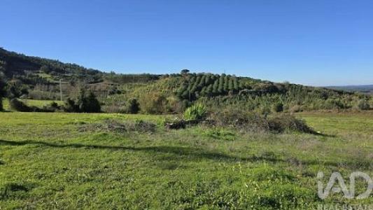 Acheter Terrain Cadaval r�gion LISBOA