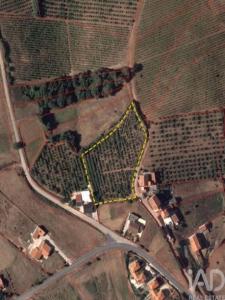 Vente Terrain Cadaval  11 au Portugal