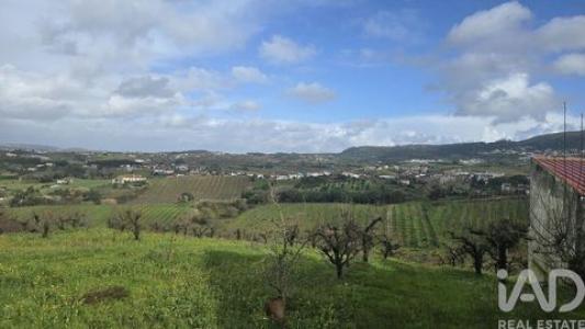 Annonce Vente Terrain Cadaval