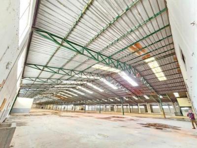 Acheter Local industriel 12056 m2 Torres-novas