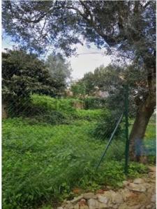 Vente Terrain Agualva-cacem AGUALVA-E-MIRA-SINTRA 11 au Portugal