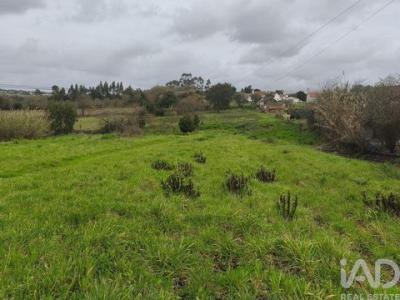 Annonce Vente Terrain Alcobaca