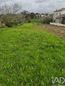 Acheter Terrain Alcobaca r�gion LEIRIA