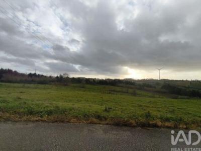 Annonce Vente Terrain Alcobaca