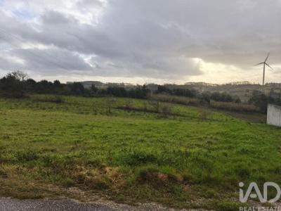 Acheter Terrain 9800 m2 Alcobaca
