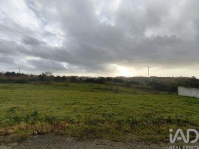 Acheter Terrain Alcobaca r�gion LEIRIA