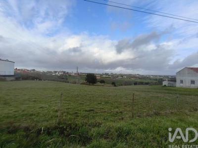 Annonce Vente Terrain Alcobaca