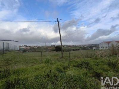 Acheter Terrain 5400 m2 Alcobaca
