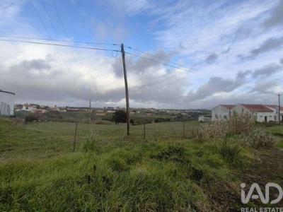 Acheter Terrain Alcobaca r�gion LEIRIA