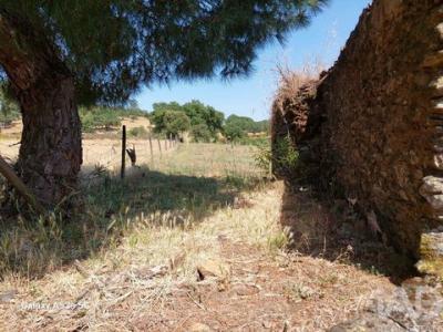 Acheter Local commercial 115 m2 Portalegre