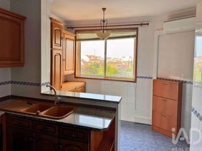 Location Appartement Oliveira-do-bairro  01