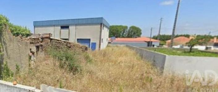 Annonce Location Local industriel Leiria