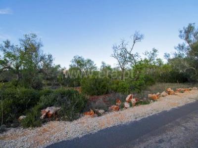 Acheter Terrain Silves