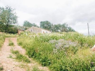 Acheter Terrain Lagoa r�gion LEIRIA