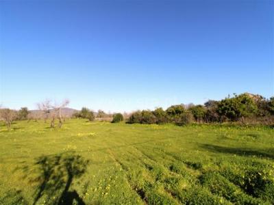 Annonce Vente Maison Olhao