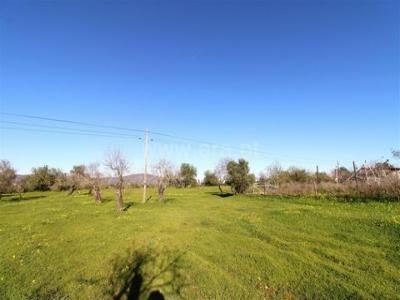 Acheter Maison Olhao