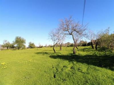 Acheter Maison Olhao r�gion FARO