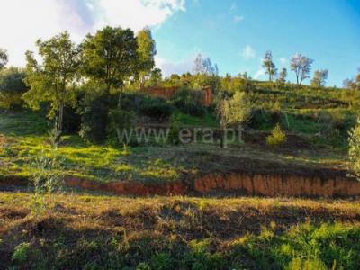 Vente Terrain Monchique  08 au Portugal