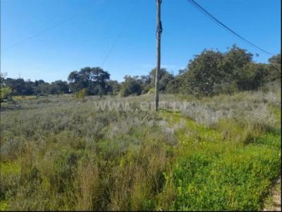 Vente Terrain Faro  08 au Portugal