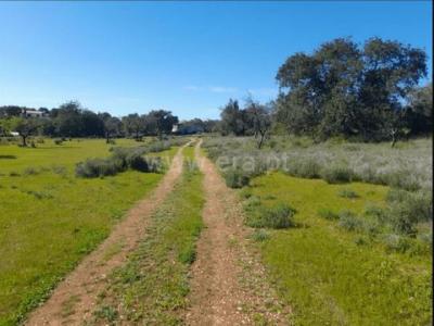 Annonce Vente Terrain Faro