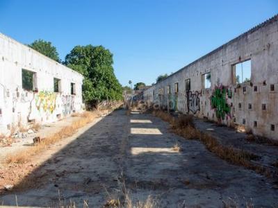 Annonce Vente Terrain Faro