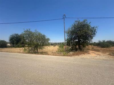 Annonce Vente Maison Faro