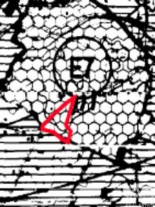 Acheter Terrain 19350 m2 Loule