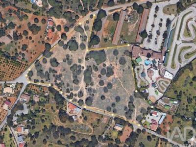 Annonce Vente Terrain Loule