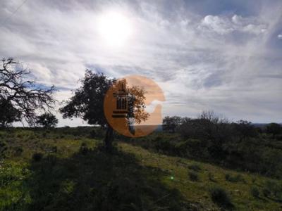 Acheter Terrain 8880 m2 Castro-marim