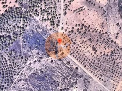 Acheter Terrain Castro-marim r�gion FARO