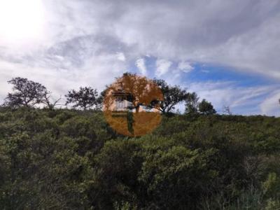 Annonce Vente Terrain Castro-marim