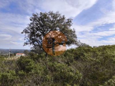 Acheter Terrain 32767 m2 Castro-marim