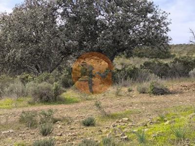 Acheter Terrain Castro-marim r�gion FARO