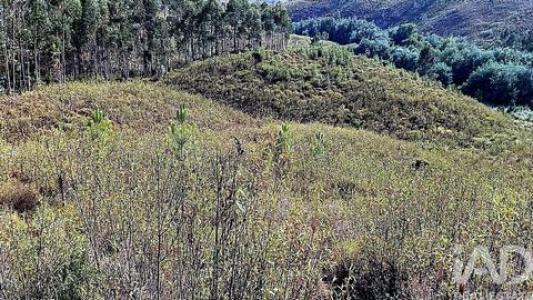 Annonce Vente Terrain Macao