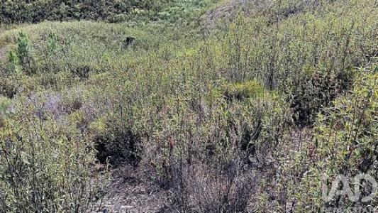 Vente Terrain Macao  14 au Portugal