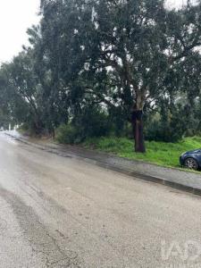 Acheter Terrain Setubal r�gion SETUBAL