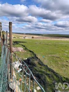 Acheter Terrain Beja r�gion BEJA