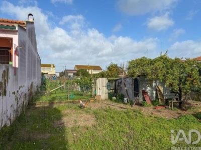 Annonce Vente Terrain Almeirim