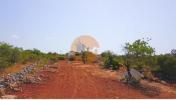 Acheter Terrain 8150 m2 TAVIRA
