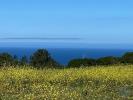 Annonce Vente Terrain SESIMBRA