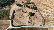 Annonce Vente Terrain PROENCA-A-NOVA