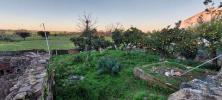 Acheter Terrain 260 m2 ALVITO