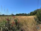 Annonce Vente Terrain AVEIRO