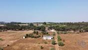 Annonce Vente Terrain PALMELA